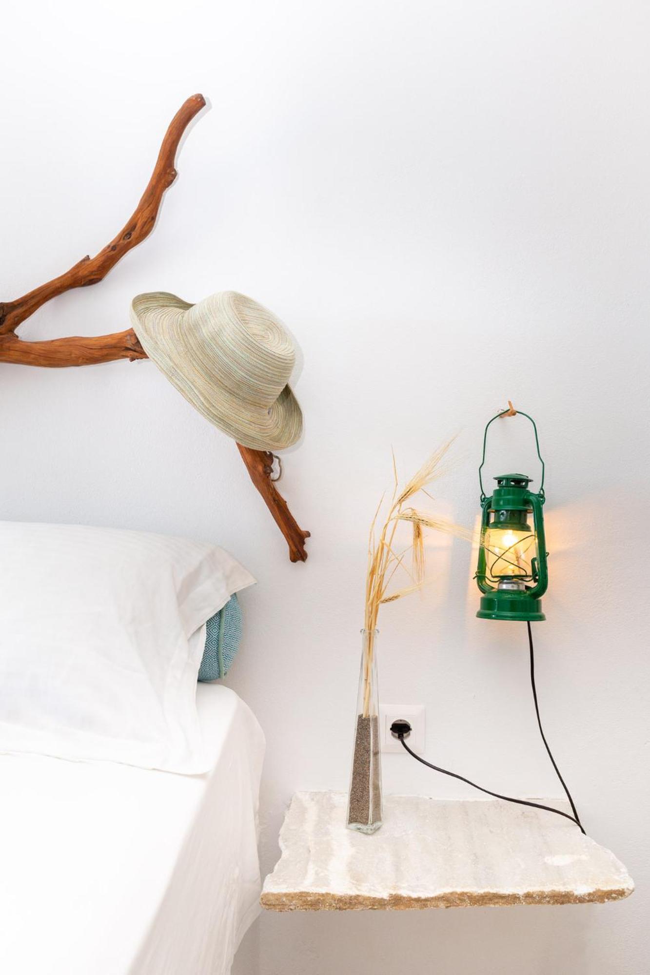 Ailouros Scenic Guest Houses Schoinoussa エクステリア 写真